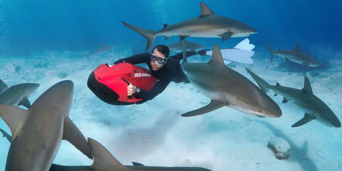 Meeting mit den Haien