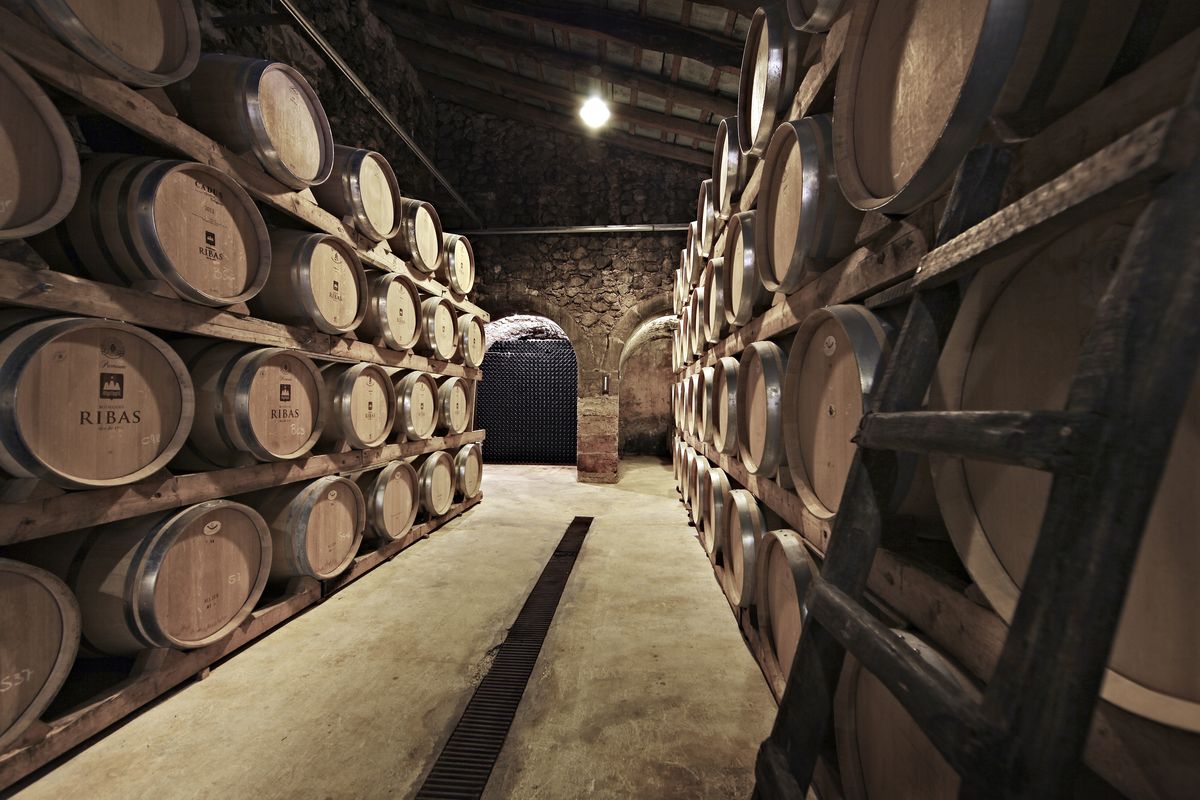 Ribas Weingut: 300 Jahre alte Weintradition