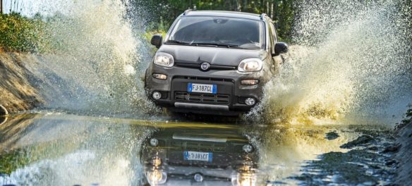Fiat Panda 4x4 Wild