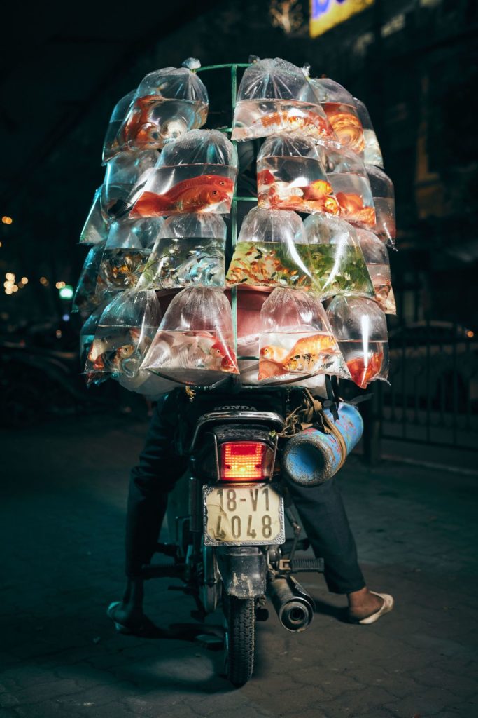 "The Transporter" im Hanoi-Style