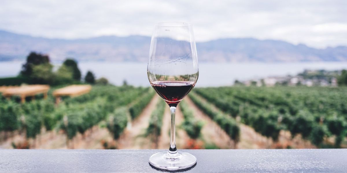 Reisetipp für Genießer - die Weinregion Südmähren