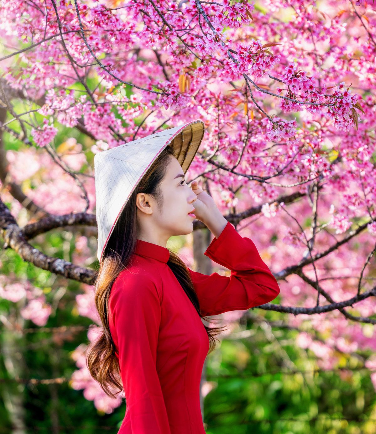 Foto: Es ist wieder Zeit, nach Japan und Südkorea zu reisen.