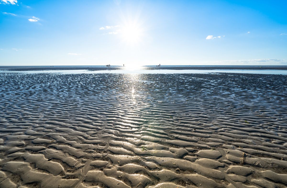 Foto: Das Wattenmeer mit allen Sinnen erleben.
