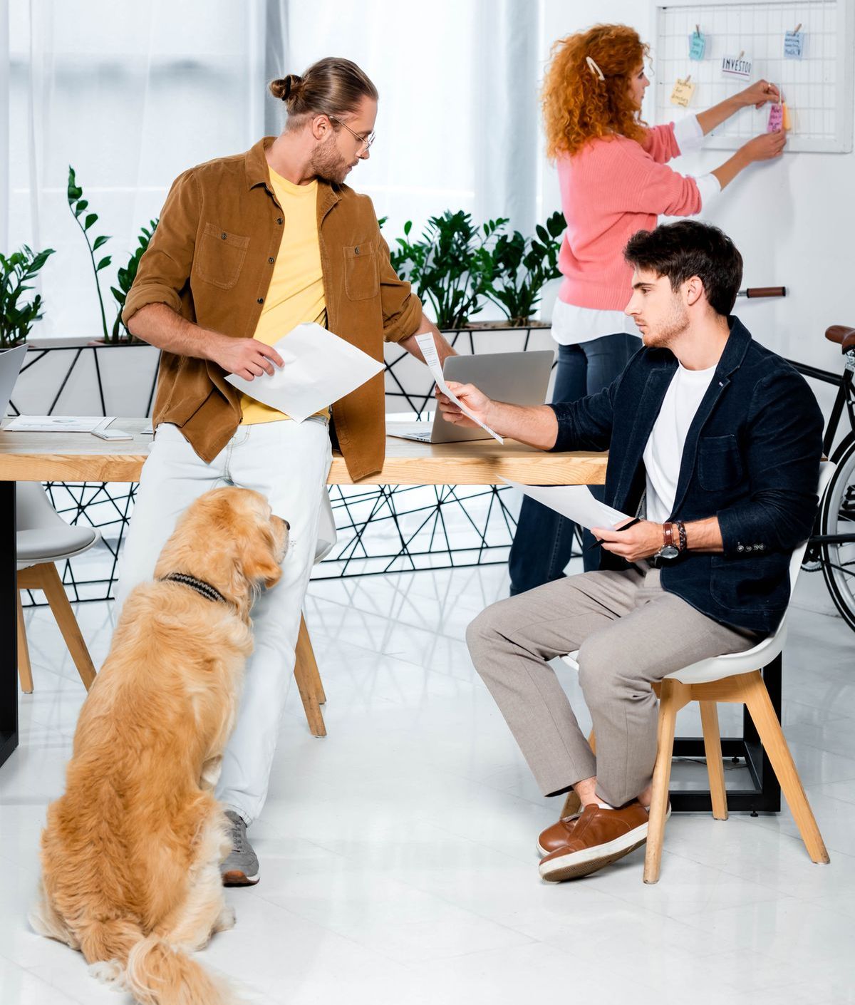 Foto: So können Bürohunde - und Büromenschen - glücklich werden.