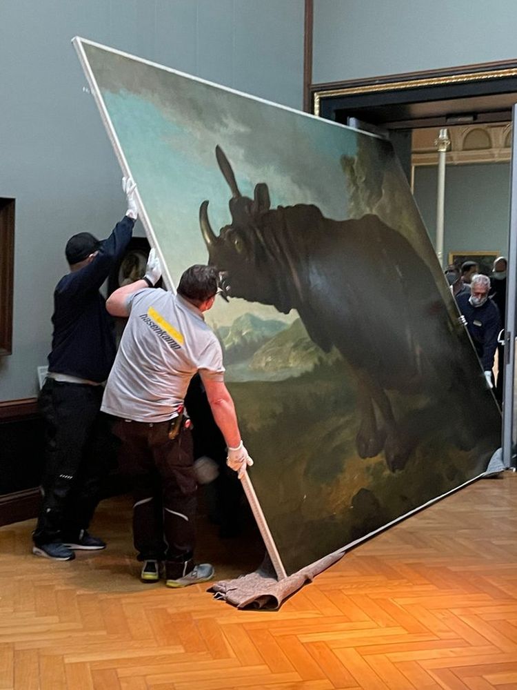 Foto: Rhinozeros Clara macht es vor - so wird "Fine Arts" transportiert.
