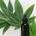 Cannabis – beliebter Inhaltsstoff in der Hautpflege endlich legal