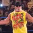 Hulk Hogan