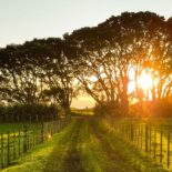 Großstadtglanz verblasst - das neue Lebensgefühl heißt Weite Weite