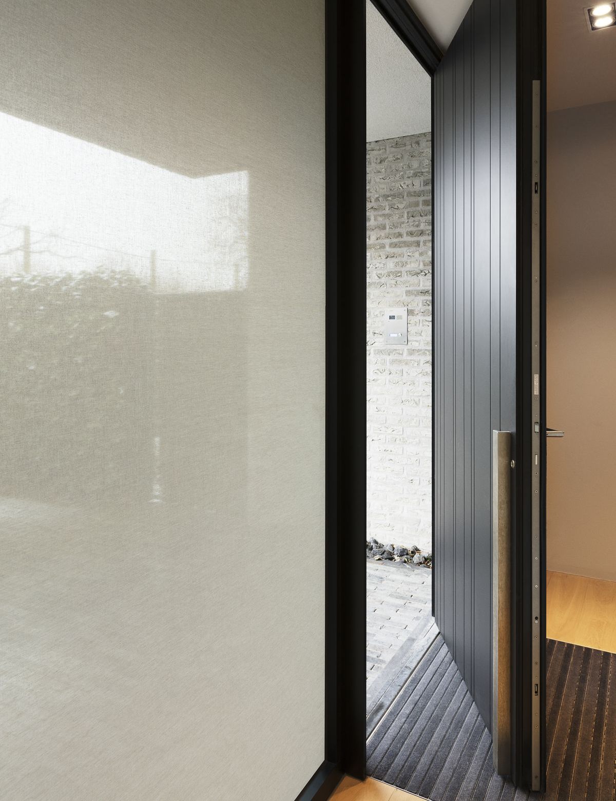 Squid Textile Fensterfolien