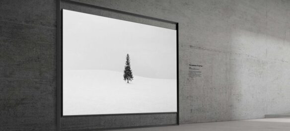 Fernseher