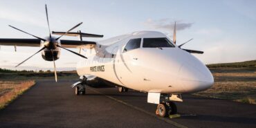 Fliegen