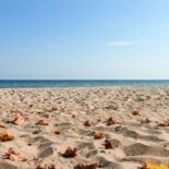 Sylt-Fortgeschrittene setzen auf den Herbst Sylt-Fortgeschrittene setzen auf den Herbst