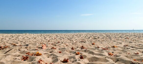 Sylt-Fortgeschrittene setzen auf den Herbst