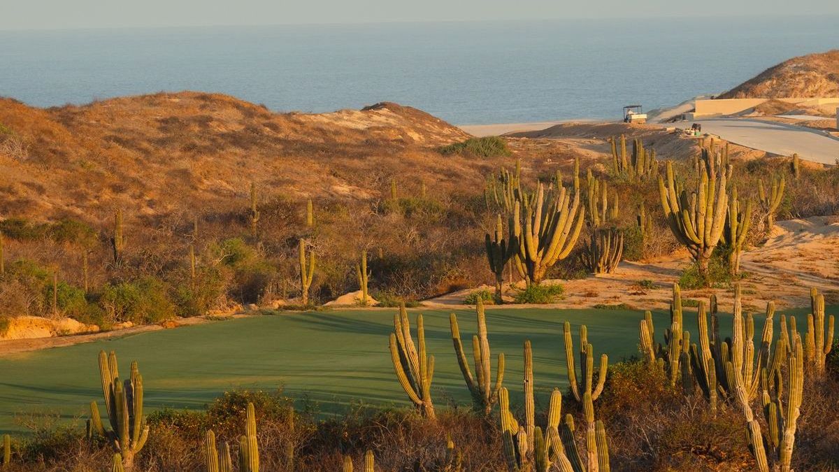 Golf spielen in Los Cabos (2026)